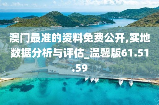 澳门最准的资料免费公开,实地数据分析与评估_温馨版61.51.59