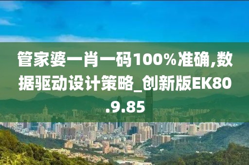 管家婆一肖一码100%准确,数据驱动设计策略_创新版EK80.9.85