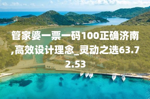 管家婆一票一码100正确济南,高效设计理念_灵动之选63.72.53