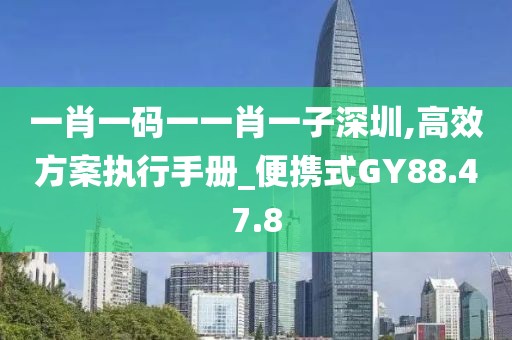 一肖一码一一肖一子深圳,高效方案执行手册_便携式GY88.47.8