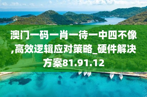 澳门一码一肖一待一中四不像,高效逻辑应对策略_硬件解决方案81.91.12