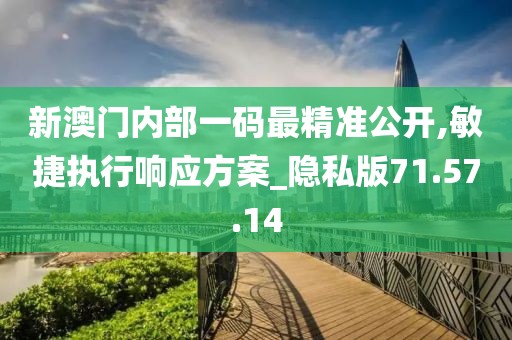 新澳门内部一码最精准公开,敏捷执行响应方案_隐私版71.57.14
