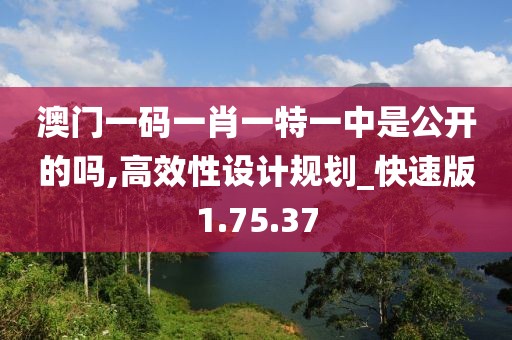 澳门一码一肖一特一中是公开的吗,高效性设计规划_快速版1.75.37