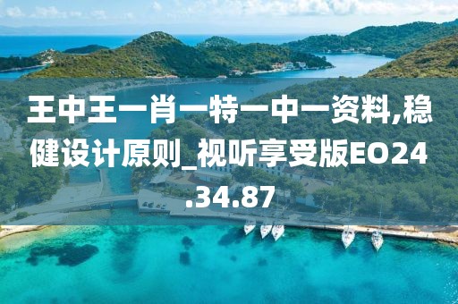 王中王一肖一特一中一资料,稳健设计原则_视听享受版EO24.34.87