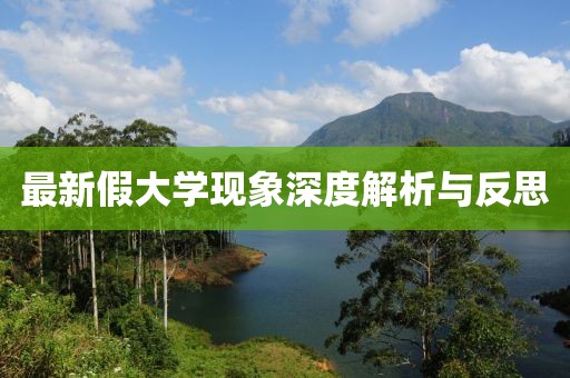 最新假大学现象深度解析与反思