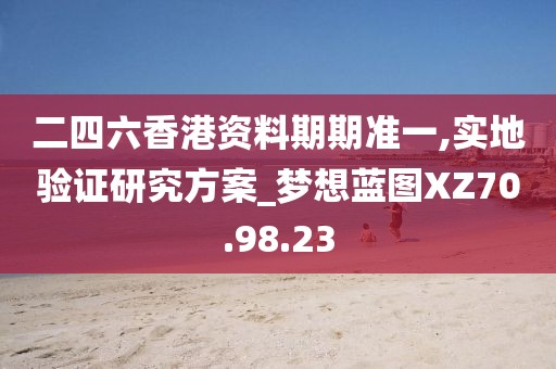 二四六香港资料期期准一,实地验证研究方案_梦想蓝图XZ70.98.23