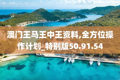 澳门王马王中王资料,全方位操作计划_特别版50.91.54