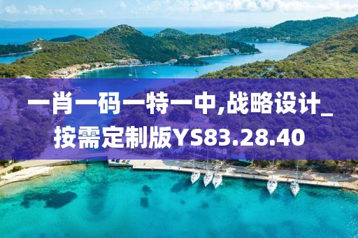 一肖一码一特一中,战略设计_按需定制版YS83.28.40