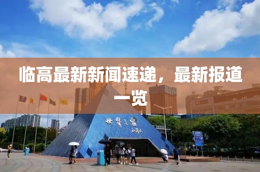 临高最新新闻速递，最新报道一览