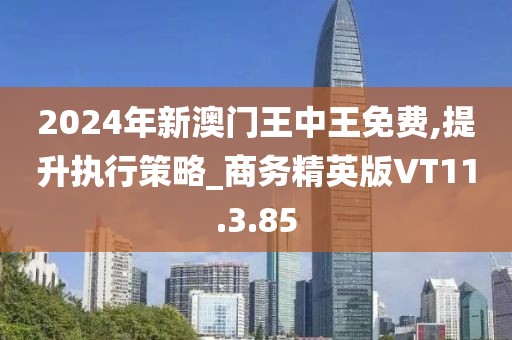 2024年新澳门王中王免费,提升执行策略_商务精英版VT11.3.85