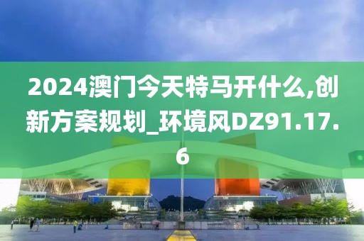 2024澳门今天特马开什么,创新方案规划_环境风DZ91.17.6