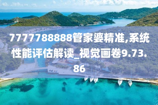 7777788888管家婆精准,系统性能评估解读_视觉画卷9.73.86