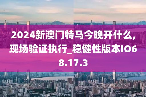 2024新澳门特马今晚开什么,现场验证执行_稳健性版本IO68.17.3