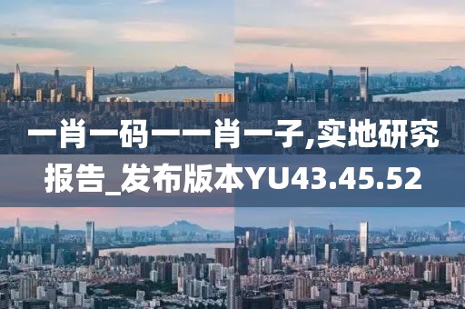 一肖一码一一肖一子,实地研究报告_发布版本YU43.45.52