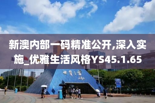 新澳内部一码精准公开,深入实施_优雅生活风格YS45.1.65