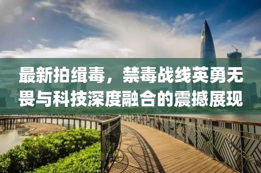 最新拍缉毒，禁毒战线英勇无畏与科技深度融合的震撼展现