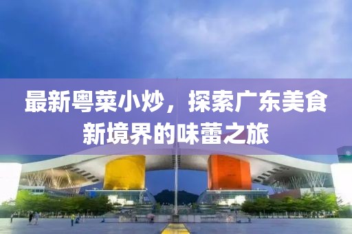 最新粤菜小炒，探索广东美食新境界的味蕾之旅