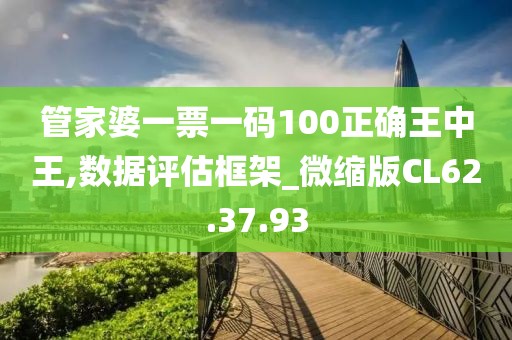 管家婆一票一码100正确王中王,数据评估框架_微缩版CL62.37.93