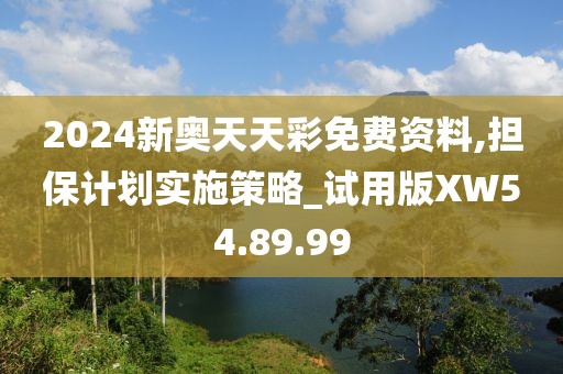 2024新奥天天彩免费资料,担保计划实施策略_试用版XW54.89.99