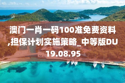 澳门一肖一码100准免费资料,担保计划实施策略_中等版DU19.08.95