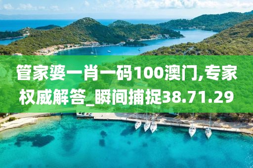 管家婆一肖一码100澳门,专家权威解答_瞬间捕捉38.71.29