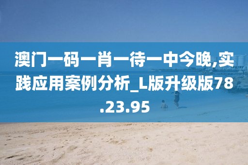澳门一码一肖一待一中今晚,实践应用案例分析_L版升级版78.23.95