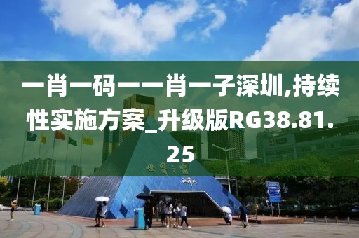 一肖一码一一肖一子深圳,持续性实施方案_升级版RG38.81.25