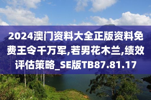 2024澳门资料大全正版资料免费王令千万军,若男花木兰,绩效评估策略_SE版TB87.81.17