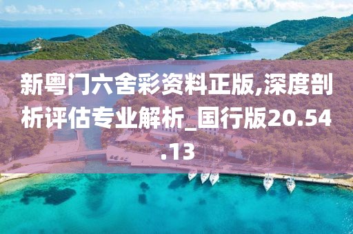新粤门六舍彩资料正版,深度剖析评估专业解析_国行版20.54.13