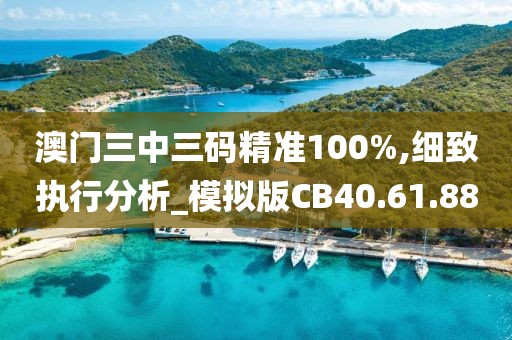 澳门三中三码精准100%,细致执行分析_模拟版CB40.61.88