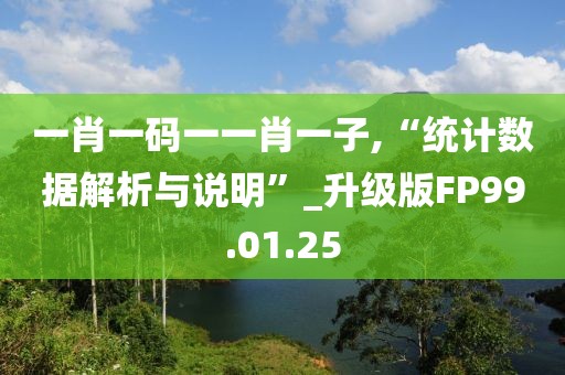 一肖一码一一肖一子,“统计数据解析与说明”_升级版FP99.01.25