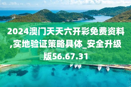 2024澳门天天六开彩免费资料,实地验证策略具体_安全升级版56.67.31