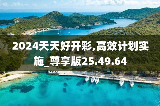 2024天天好开彩,高效计划实施_尊享版25.49.64