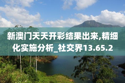 新澳门天天开彩结果出来,精细化实施分析_社交界13.65.2