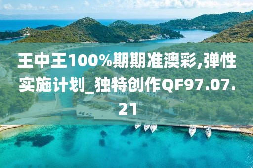 王中王100%期期准澳彩,弹性实施计划_独特创作QF97.07.21