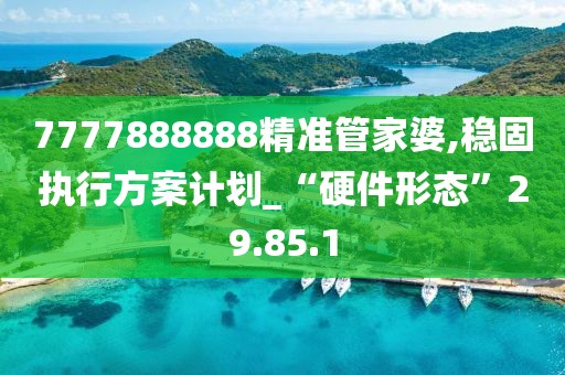 7777888888精准管家婆,稳固执行方案计划_“硬件形态”29.85.1