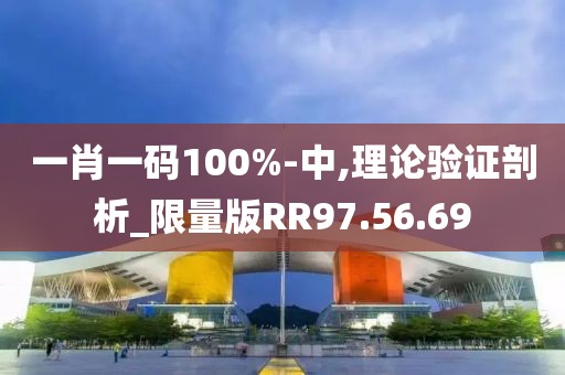 一肖一码100%-中,理论验证剖析_限量版RR97.56.69