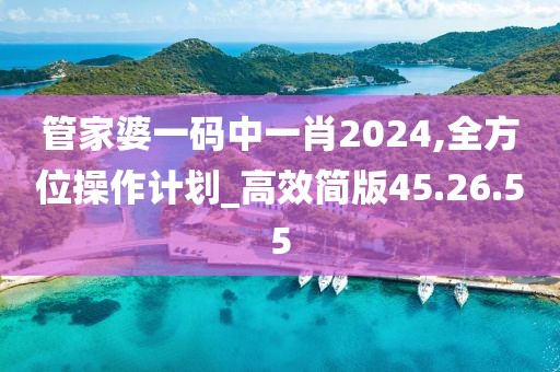 管家婆一码中一肖2024,全方位操作计划_高效简版45.26.55