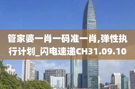 管家婆一肖一码准一肖,弹性执行计划_闪电速递CH31.09.10