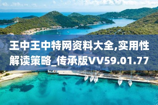 王中王中特网资料大全,实用性解读策略_传承版VV59.01.77