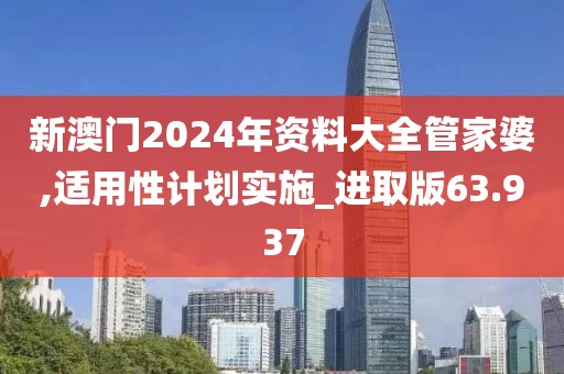 新澳门2024年资料大全管家婆,适用性计划实施_进取版63.937