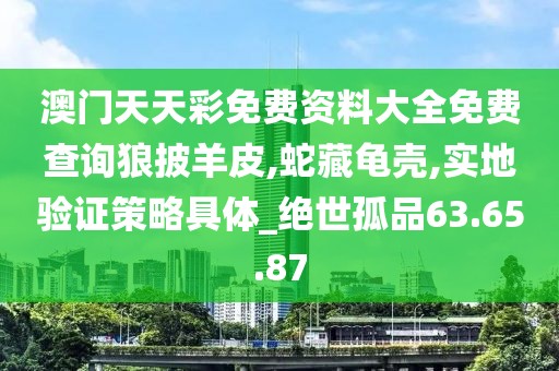 澳门天天彩免费资料大全免费查询狼披羊皮,蛇藏龟壳,实地验证策略具体_绝世孤品63.65.87
