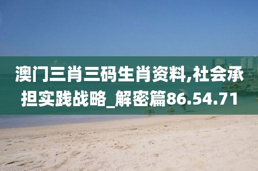 澳门三肖三码生肖资料,社会承担实践战略_解密篇86.54.71