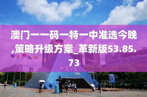 澳门一一码一特一中准选今晚,策略升级方案_革新版53.85.73