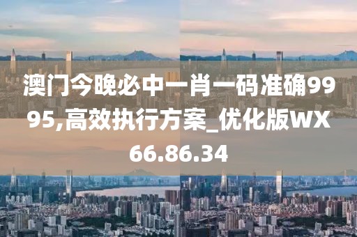 澳门今晚必中一肖一码准确9995,高效执行方案_优化版WX66.86.34