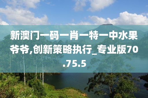 新澳门一码一肖一特一中水果爷爷,创新策略执行_专业版70.75.5