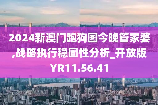 2024新澳门跑狗图今晚管家婆,战略执行稳固性分析_开放版YR11.56.41