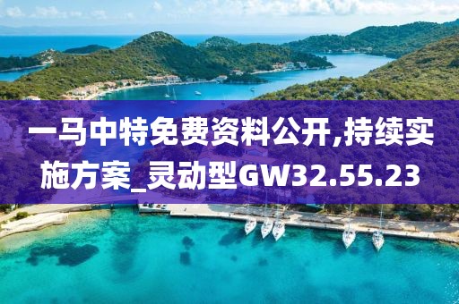 一马中特免费资料公开,持续实施方案_灵动型GW32.55.23