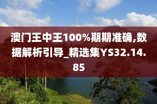 澳门王中王100%期期准确,数据解析引导_精选集YS32.14.85
