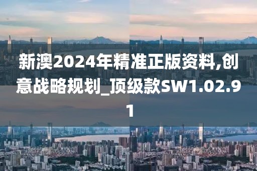 新澳2024年精准正版资料,创意战略规划_顶级款SW1.02.91